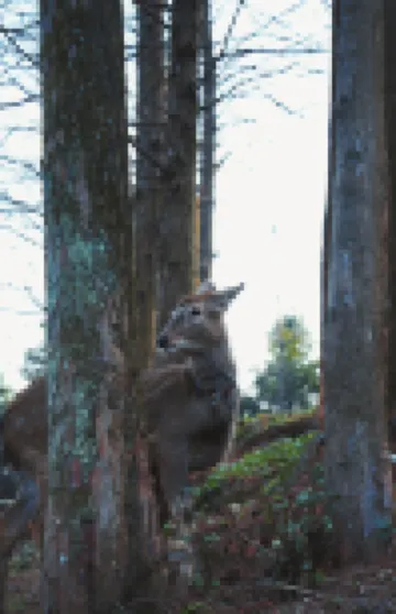 路之青城温泉酒店