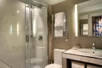 Rochester Champs Elysees Paris