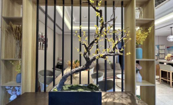 Jiaxing xinyu express hotel