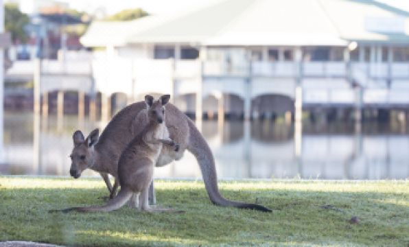 Novotel Sunshine Coast Resort