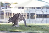 Novotel Sunshine Coast Resort - Gym