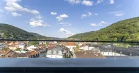 PLAZA Premium Heidelberg - Balkon