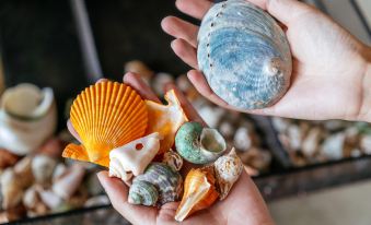 Summer Be Higher Inn