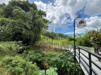 Moonlight Cottage Hotels in Phuket