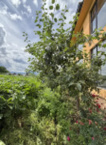 瀘沽湖鄉野裏·摩梭小院（瀘沽湖景區店）