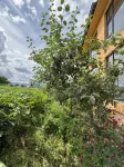 Mosuo Courtyard in Yeli, Lugu Lake Township Hotel a 