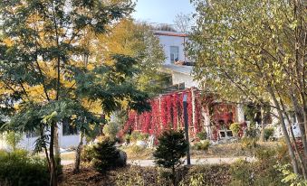 Harbin Rose Manor Hotel