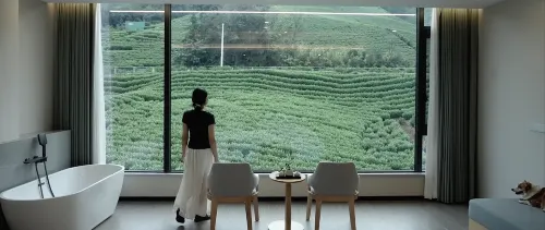 Mingjing Garden·Anji Xiyue Mountain Resort Hotel - Lemmikkieläimet sallittu