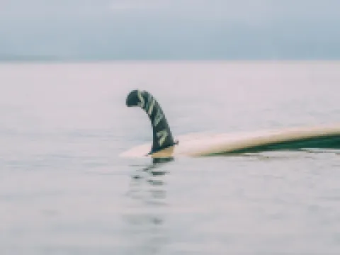 Bay's Inn Resort Hotéis em Baler