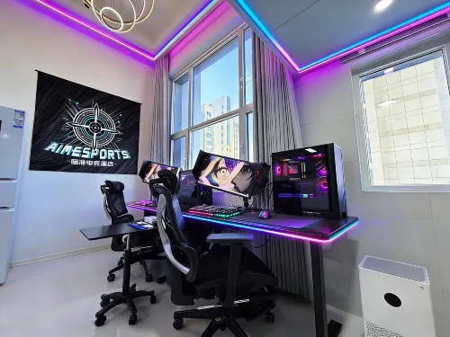 Aim Miaozhun E-Sports - Esports