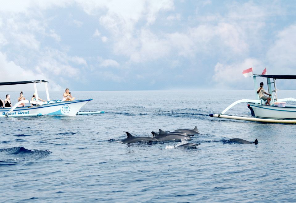 프라이빗 풀빌라 전경