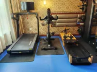 Taifeng Hotel (Aksu Railway Station Branch) - gimnasio
