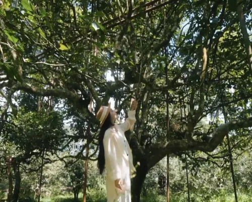 XISHUANGBANNA MUKELAN بالقرب من الفندق Photos