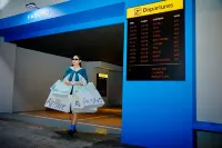 Stay Passport Airplane Guri