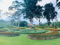 Green Jungle Park - bar