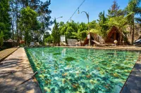 New Dgyp Ciater Resort - Pools