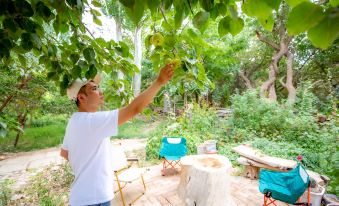 Wushe Homestay (Dunhuang Mingsha Mountain Crescent Moon Spring)