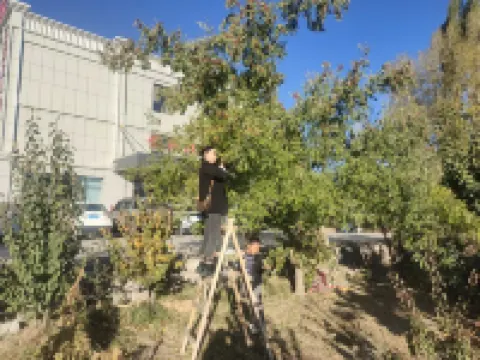 Yunxia Guli Smart Hotel (Qicai Danxia) Hoteles en Condado de Linze