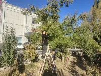 Yunxia Guli Smart Hotel (Qicai Danxia) Hotels in Linze