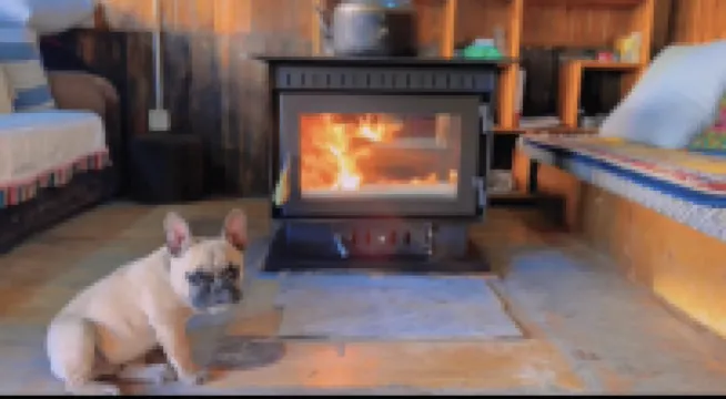 Laoxiong Home·Life Light Luxury Holiday Oxygen Supply Meisu