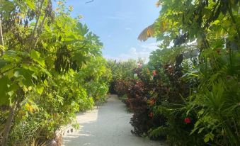 Coral Castle Guest House