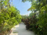 Coral Castle Guest House Hotel a Fulhadhoo
