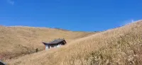 武功山清風小築飯店（遊客中心店） - 山景