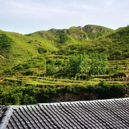 Qiaochu House