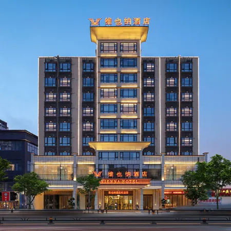 Vienna Hotel (Lingao Store)
