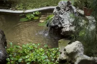Ningguo Yunxiu Mountain Villa Homestay
