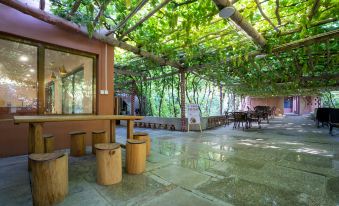 Friends of Turpan · Adaxi Homestay (Putaogou Scenic Area Store)
