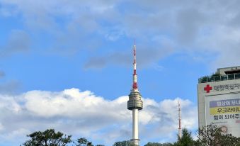 NAMSAN FOREST