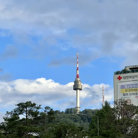 NAMSAN FOREST