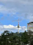 NAMSAN FOREST - Ramah Hewan Peliharaan
