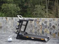 banshan bamboo courtyard - Gym