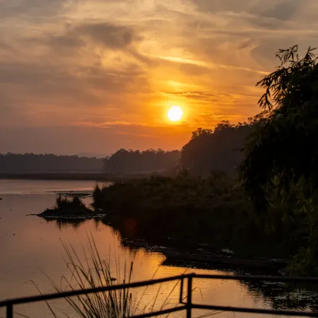 Jungle Villa Resort - Near Chitwan National Park