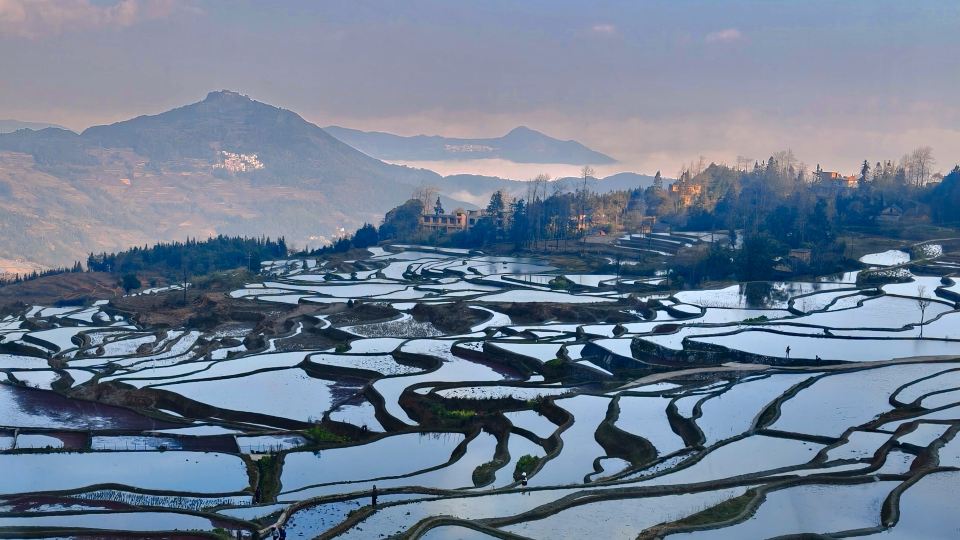 Rice Field Ideal | Blue Terraced Fields Panoramic View Homestay