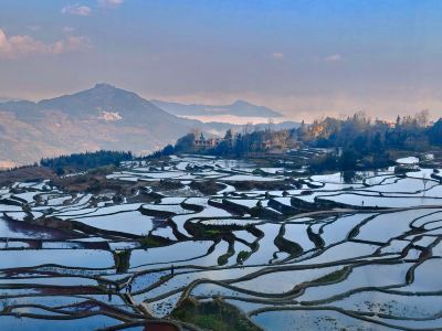 Rice Field Ideal | Blue Terraced Fields Panoramic View Homestay