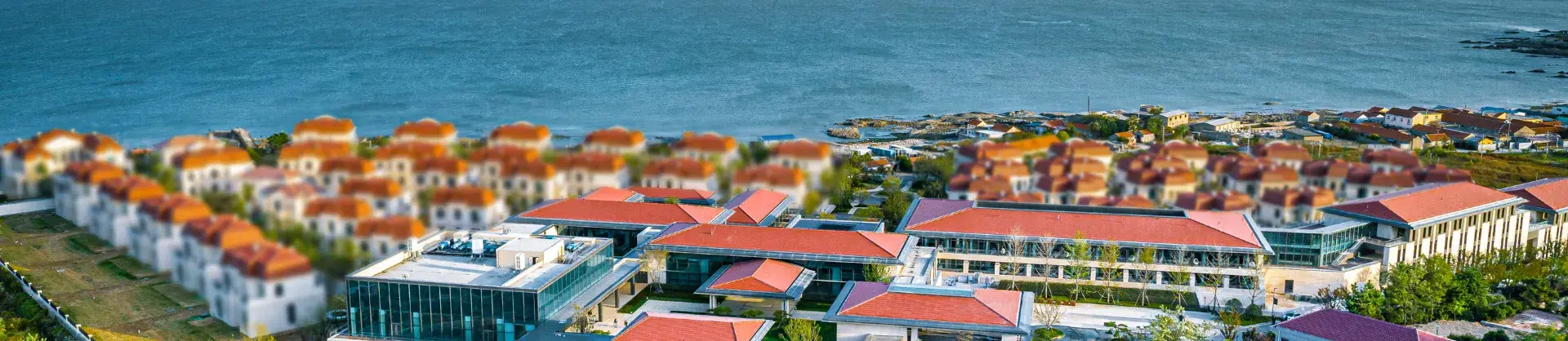 Premium Hotels