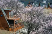 Tangxin Mountain Villa (Suosong Village) Hotel di Mainling