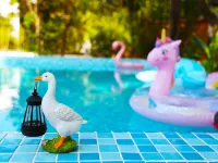 Ruyuan Resort Hotels near Jinlan Beach