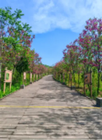 Qixin Xiaozhu Hostel