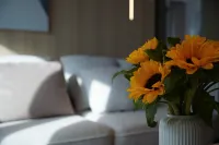 Shenzhen fangqiutong condominium (baoan international convention and exhibition center) - 2성급