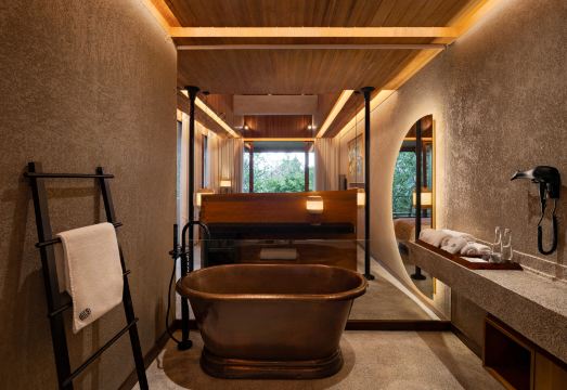 우붓의 푸른 정글 풍경 이미지