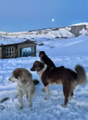 Qiongkushitai Captain and Bridge Homestay