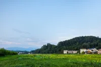 Zhangjiajie Cili Yingfengge Hotel - pemandangan pegunungan