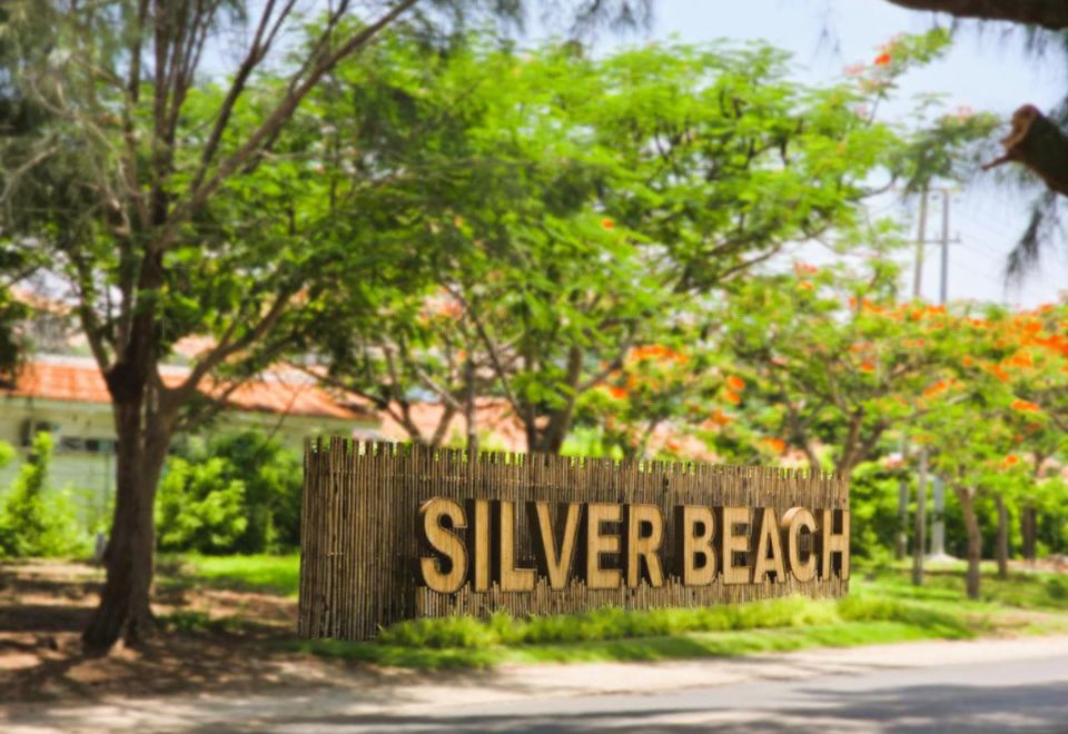 4. Silver B..