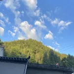 Tingpu Homestay - 2-Star