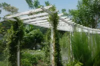 GXTDG WELLNESS HOTEL Hotels near Nanning Nights