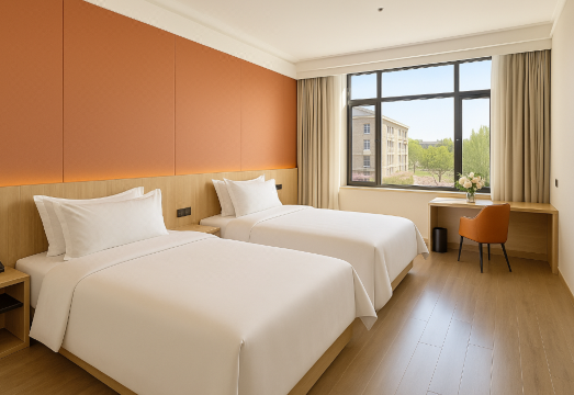 Bishkek Hotel View